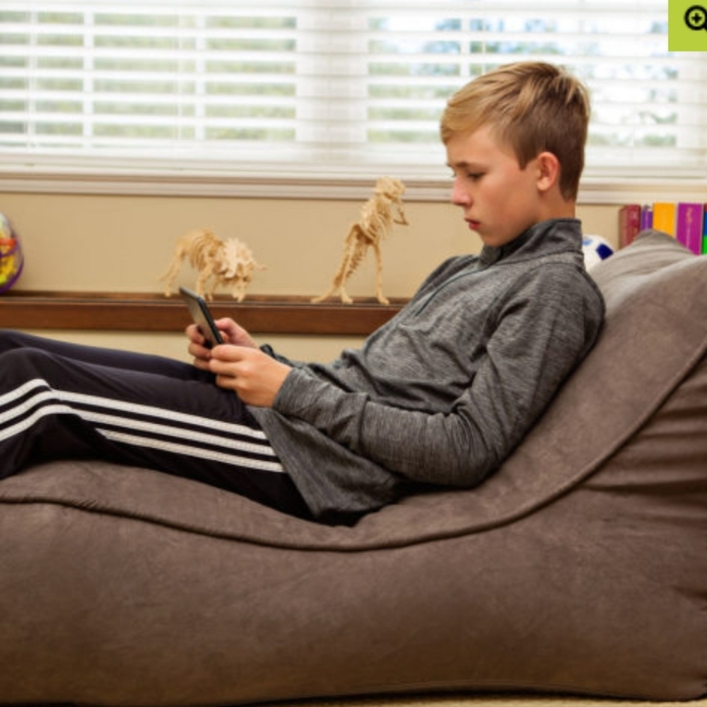🌲 The Slacker bean bag chair - Picture 2 of 4